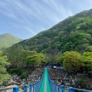 장령산자연휴양림 야영장 예약 캠핑 데크 명당 편의점 (feat. 첫 솔캠)