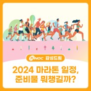 2024 마라톤 일정, 준비물 뭐챙길까?(3대 마라톤 대회, 적정 기록 등)