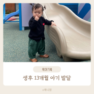 생후 13개월 아기 발달기록 , 분리수면 언어•인지발달 유아식 우유 스케줄