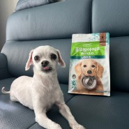 우리 강아지 튼튼한 장을 위한 사료 - "풀무원 아미오 시원하개" 사료