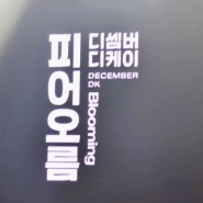 디셈버 DK 콘서트 피어오름 후기 : 신한카드 SOL 페이 스퀘어 라이브홀