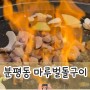 청주 분평동 마루벌돌구이｜화려한 불쇼 놀이터 식당 내돈내산