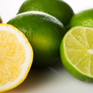 감귤류 알레르기, 오렌지, 레몬, 라임 알레르기 l Citrus Allergy l Citrus Sensitivity