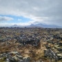[아이슬란드] 7일차 - 아이슬란드 스나이펠스요쿨 국립공원 안에서 만날 수 있는 경이로운 이끼군단, 그리고 듀팔론산두르(Djupalonssandur)