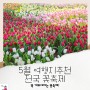 5월 여행지 추천 전국 꽃축제