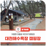 충남 봄 여행지 추천 | 대천해수욕장 국민여가캠핑장