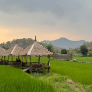 라오스 루앙프라방 뷰 좋은 라이스팜 카페 Rice farm cafe