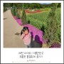 예천 아이와 가볼만한곳 회룡포 봄꽃축제 즐기기 (위치, 주차 정보)