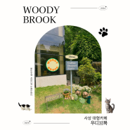 [우디브룩] 부산| 사상 고양이가 많은 숲속에 있는 대형 카페 추천 : Woodybrook