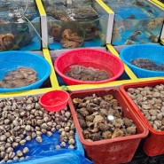 광산구 전통시장 세계음식문화거리 인근 월곡시장