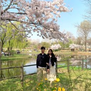 [일상/신혼일상] 용산가족공원 벚꽃놀이, 집 앞에서 소소히 즐긴 벚꽃놀이