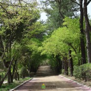 광릉추모공원의 봄, 사계절을 느낄 수 있는 서울근교 공원묘지 봉안당