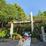 인천 [ 수봉공원 ] 초록옷입은 수봉공원 레오야산책가자!