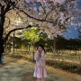 9살 육아일기 4월 첫째주 여의도 벚꽃놀이, 서울랜드&서울대공원