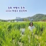 경북 여행지 추천 예천 가볼만한곳 회룡포 마을 봄꽃축제