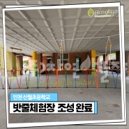 인천 초등학교 밧줄체험장 밧줄놀이터 설치 사례