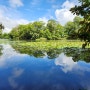 [북해도 여행] 하코다테 여행, 자연의 치유 오누마 국정공원