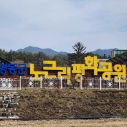 영동 노근리 평화공원 영동 여행지 추천