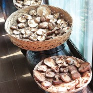 표고버섯 말리기 생표고버섯 손질 보관방법 표고버섯말리는법