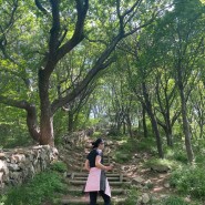 부산 황령산 유원지생태숲 전망대 초보 등산코스