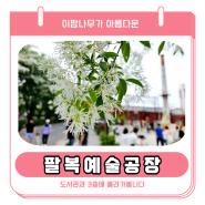 팔복예술공장 이팝나무기찻길 두잉두잉체어 전주문화재단