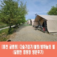 [홍천 글램핑] 다슬기잡기/불멍/밤하늘의 별(달콤한 캠핑장 방문후기)