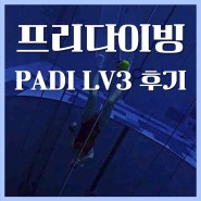 PADI 프리다이빙 자격증 LV3 강습 후기