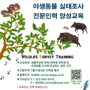 야생동물 실태조사 전문인력 양성 교육 프로그램 운영