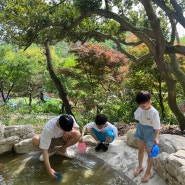 대전 근교 아이랑 가볼만한곳 세종 도토리숲 키즈파크