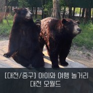 [대전/중구] 아이와 함께 대전 가볼 만한 곳 대전 오월드