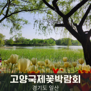 고양국제꽃박람회 입장료 일산호수공원 후기