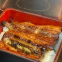 도쿄 긴자 장어덮밥 저녁 식사 후기 효탄야6초메