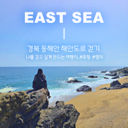 나를 걷고 싶게 만드는 경북 동해안, 해안도로 걸어보기 #영덕 #포항