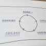 인피니트게임 사이먼 사이넥 5가지 무한 원칙