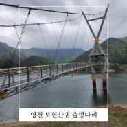 영천 아이와 가볼만한곳 보현산댐 출렁다리