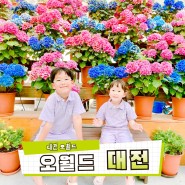대전가볼만한곳 대전오월드 대전 어린이날 행사