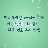 [미국번호] 민트 모바일 e-sim 추가 미국 번호 한국에서 미리 받기, 한국 번호 유지 방법