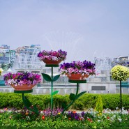 2024 고양국제꽃박람회, 찬란한 꽃의 축제