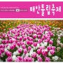 태안 여행 태안 세계 튤립 박람회 꽃축제 코리아 플라워 파크