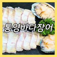 일산 맛집 바다장어 하모샤브샤브가 맛있는 통영바다장어