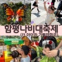 함평나비대축제, 아이들과 다녀온 후기(ft.조마루감자탕)