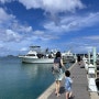 [괌] 자유여행 액티비티, 돌핀 크루즈 (ft. 33개월 아기와 돌고래 투어)