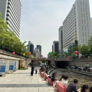 서울 산책하기좋은곳 청계천 이색 놀거리 체험 데이트 코스 책읽는 맑은냇가