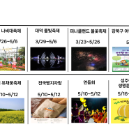 서울페스타·함평나비·성주참외…5월 대한민국, 축제가 펼쳐진다!