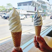 (언양맛집)유진목장의 우유 소프트 아이스크림/BONMILK 본밀크