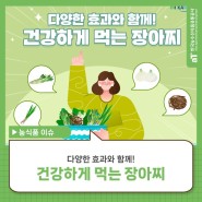 다양한 효능 가득~🦾건강하게 먹는 장아찌(풋마늘, 궁채, 곤드레, 햇양파)