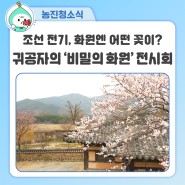 600년 전, 조선 화원엔 어떤 꽃이? 귀공자의 '비밀 화원' 전시회(~5.12.(일))