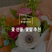 가정의 달 기념, 꽃선물 꽃말 추천