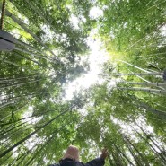 제주 한라수목원 대나무숲 식물원 초록 숲길 걷기