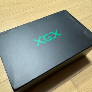 XGX 마우스피스 구매, 복싱용품 모으기 (feat 글러브, 복싱화)